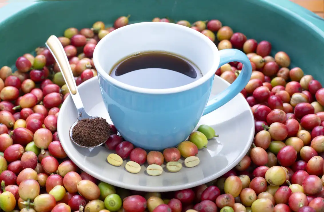Un viaje en el tiempo: La apasionante historia del café colombiano Shot Of A Cup Of Coffee With Colombian Coffee Bea Utc